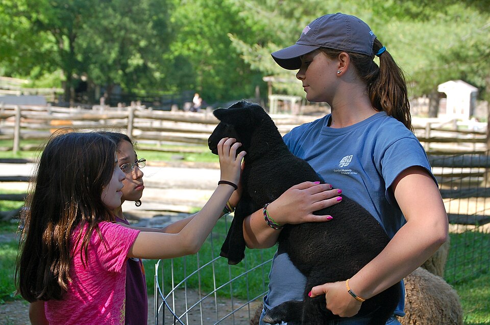 Kinderdierentuin