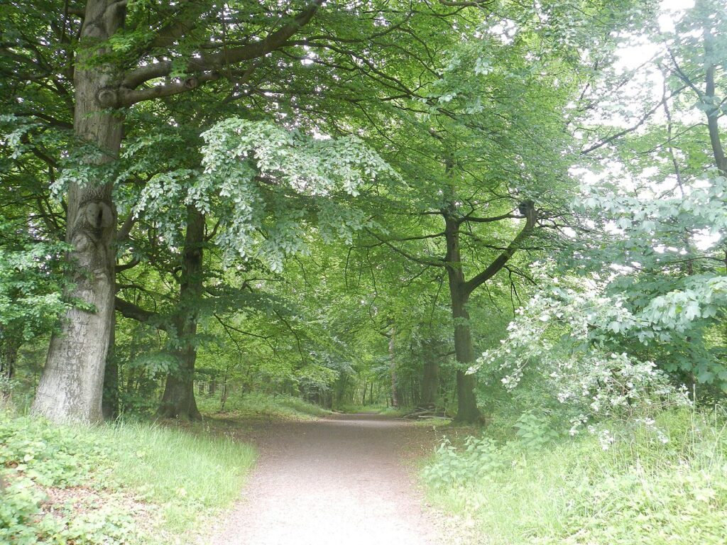 De Vallende Sterrentocht – Orioniden in Harlingen